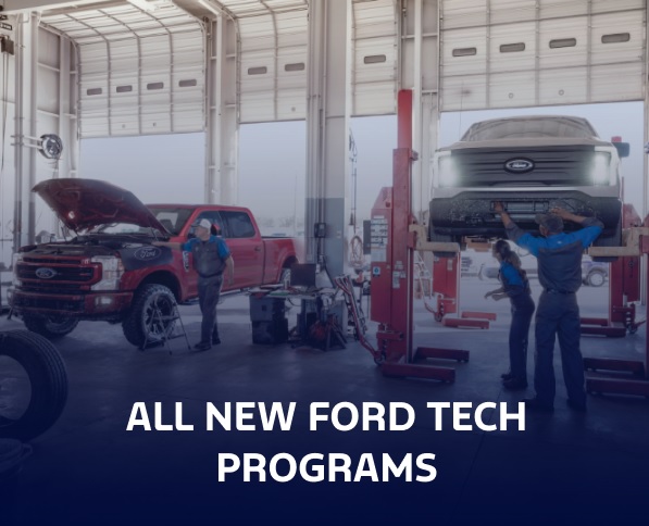 All NFT Programs